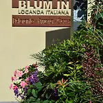 Blum In Rovetta