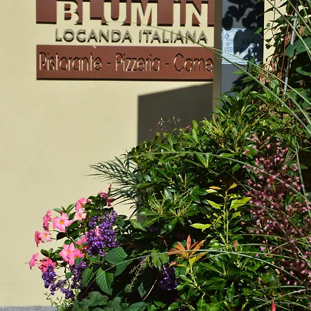 Blum In Rovetta